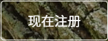 注册界面